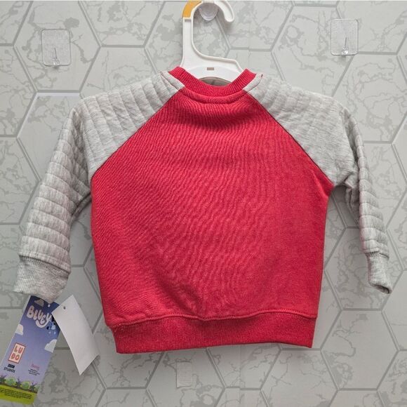 Toddler Bluey & Friend "Smoochy Kiss" Valentine's Easter Pullover Sweater - Picture 6 of 9